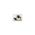  AEG 4931431618 Interrupteur BS12G, BS14G, BS18G