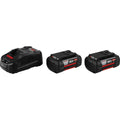  Bosch 2 Batteries GBA 36V 36V 6.0Ah Li-ion Alliance PowerForAll 36V & Chargeur GAL 3680 CV (1600A00L1U)