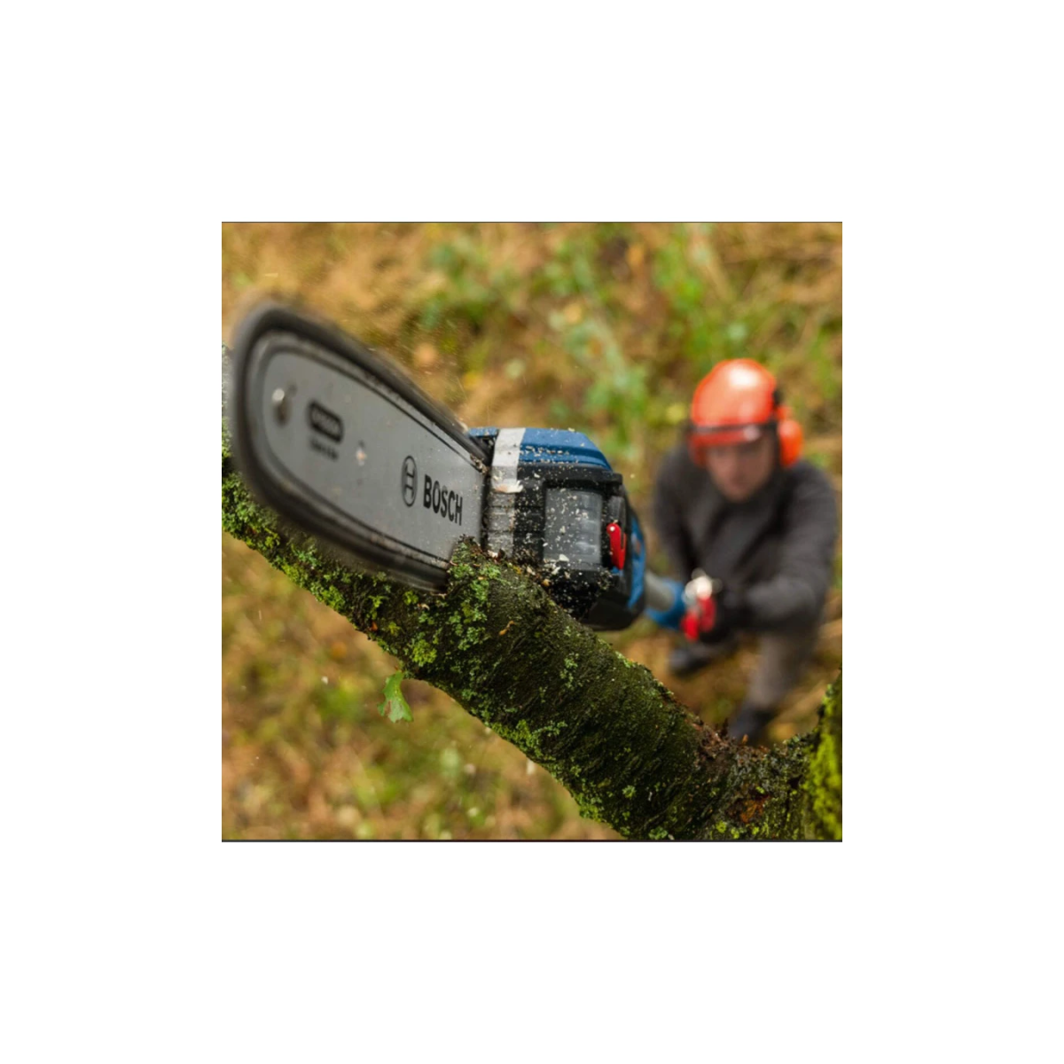  Bosch GKE 18V-25 Élagueuse Sur Perche Sans Fil 18V (06008D6000)