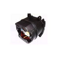  DeWalt 1007542-00 Inducteur 230V D25899K