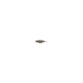  Dewalt 869302-00 Induit Scie 240V DW777, DW771, DW770