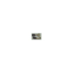  Dewalt Charbon 1003898-00, 1003923-00