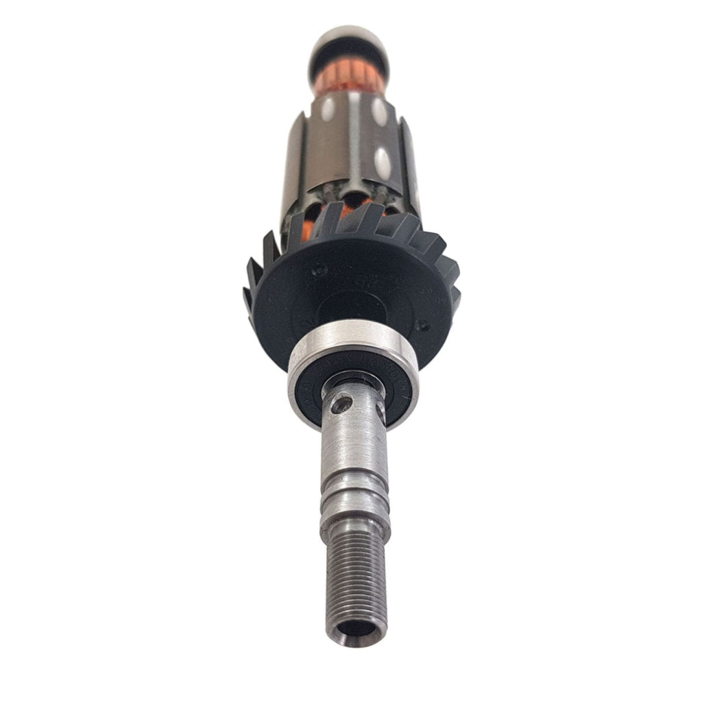 Bosch Dremel Induit 230V Pour Dremel 200, 215, 275, 285, 300, 395 (2610941201)