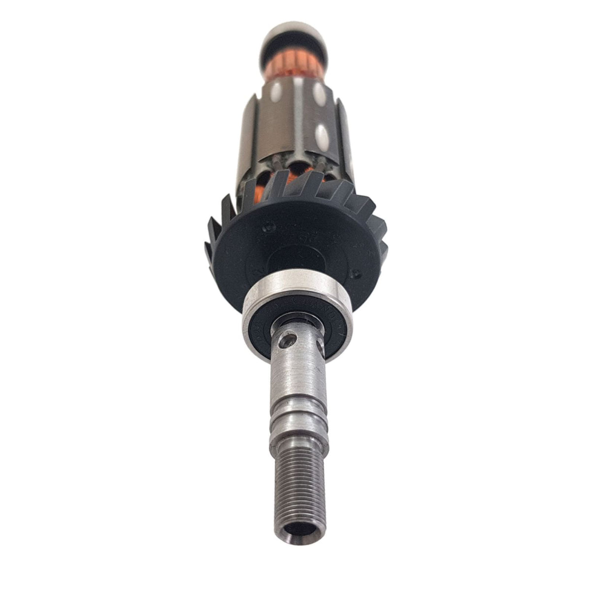 Bosch Dremel Induit 230V Pour Dremel 200, 215, 275, 285, 300, 395 (2610941201)