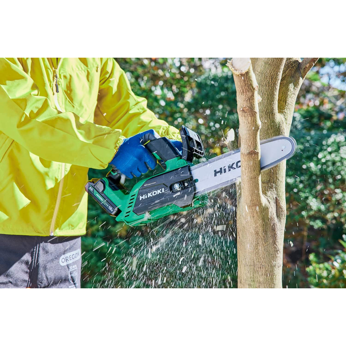  Hikoki CS1825DCWHZ Élagueuse Sans Fil 18V 250mm 2x5.0Ah